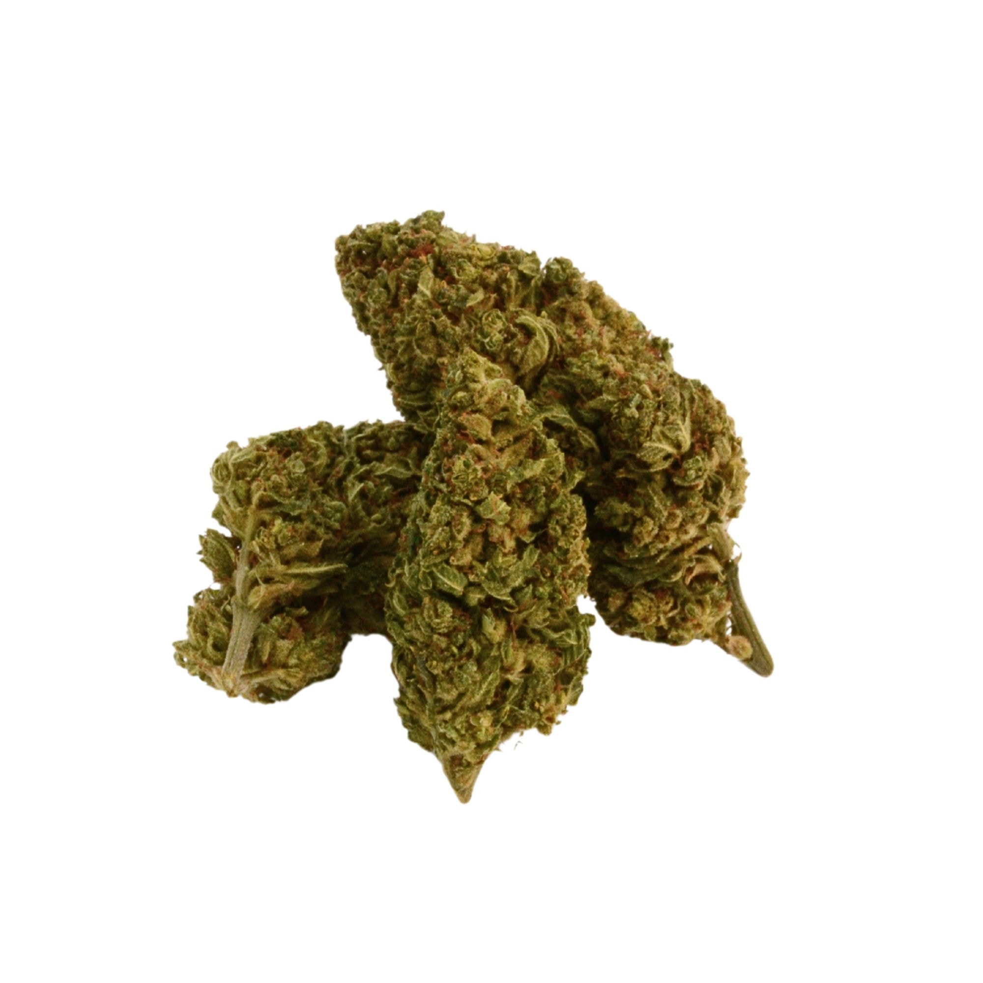 Lemon Haze - CBG9 - CBD Blüten