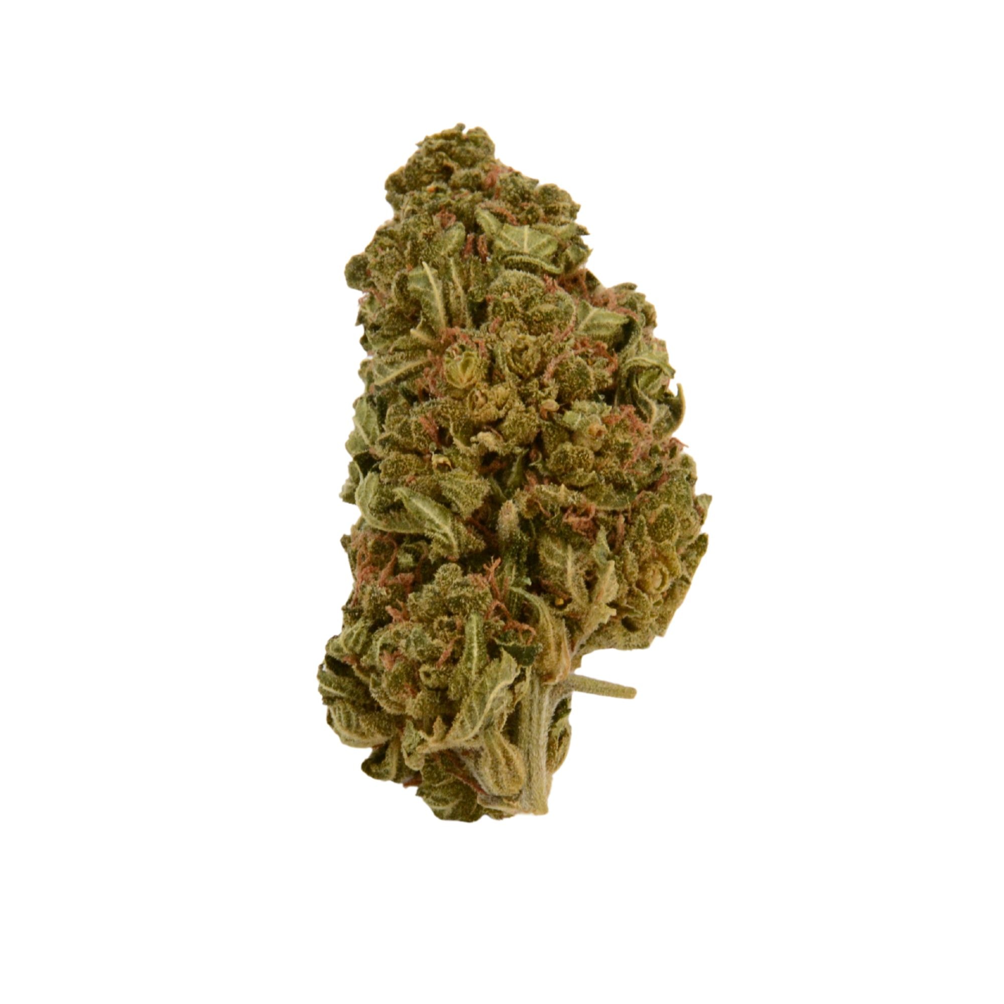 Lemon Haze - CBG9 - CBD Blüten