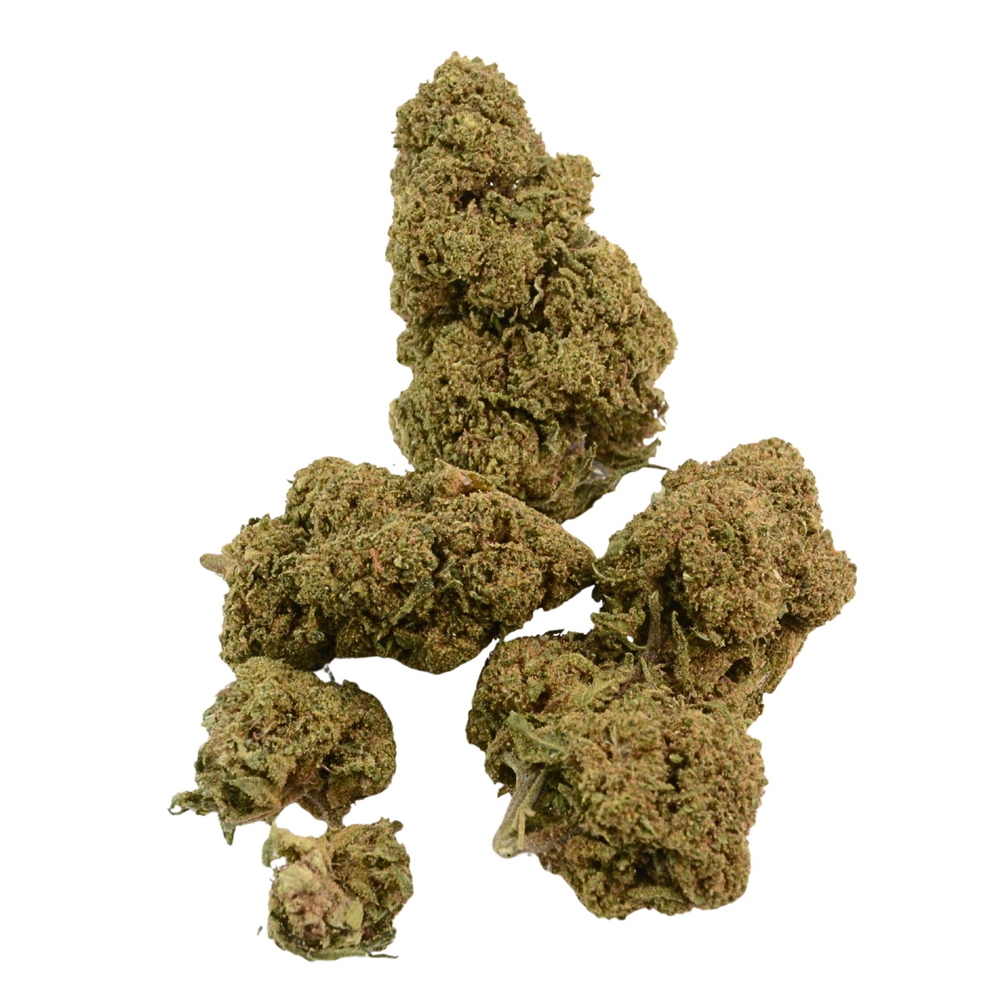 Mimosa CBD Blüten HHC 10-OH-HHC THC CBG CBG9 Super Sauce