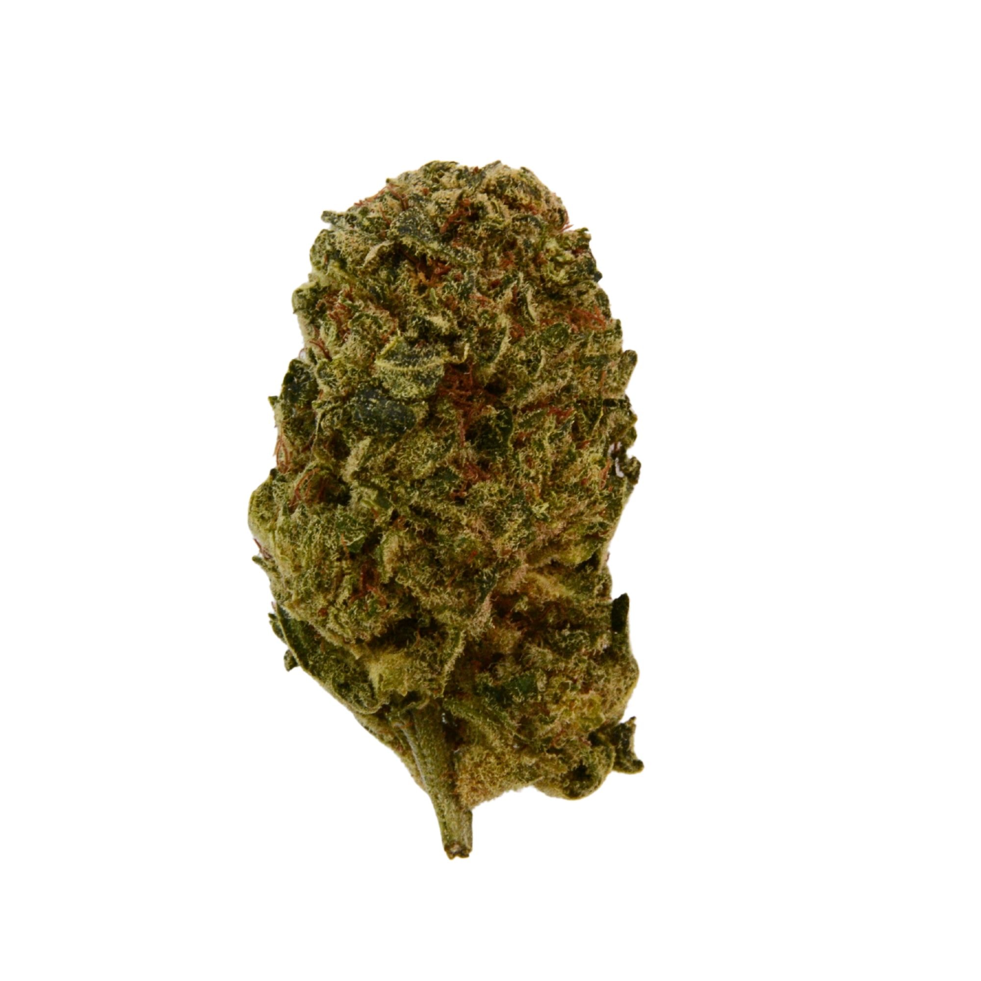 Orange Cookies - H3 - CBD Blüten