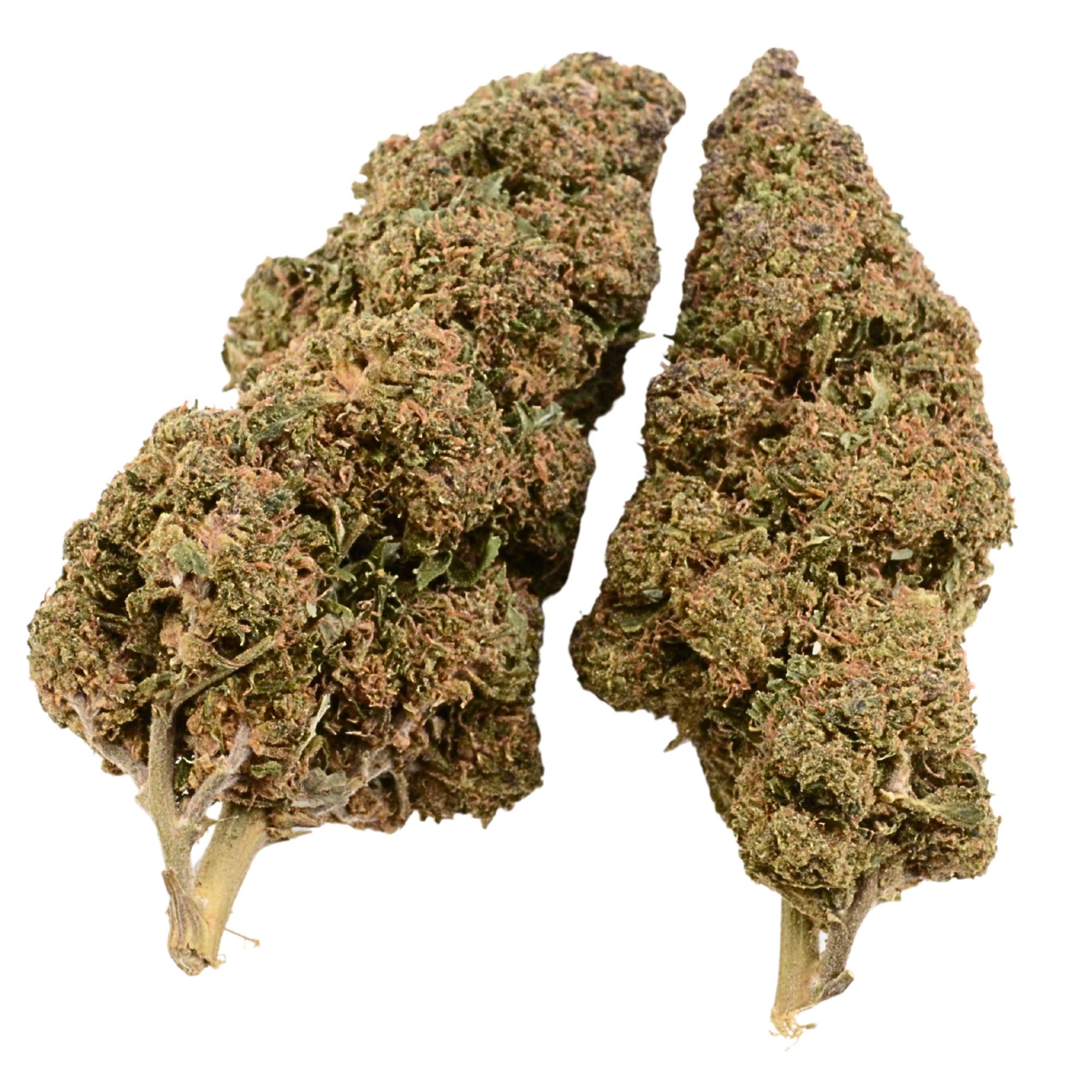 Purple Haze CBD Blüten HHC 10-OH-HHC CBG CBG9 THC Super Sauce