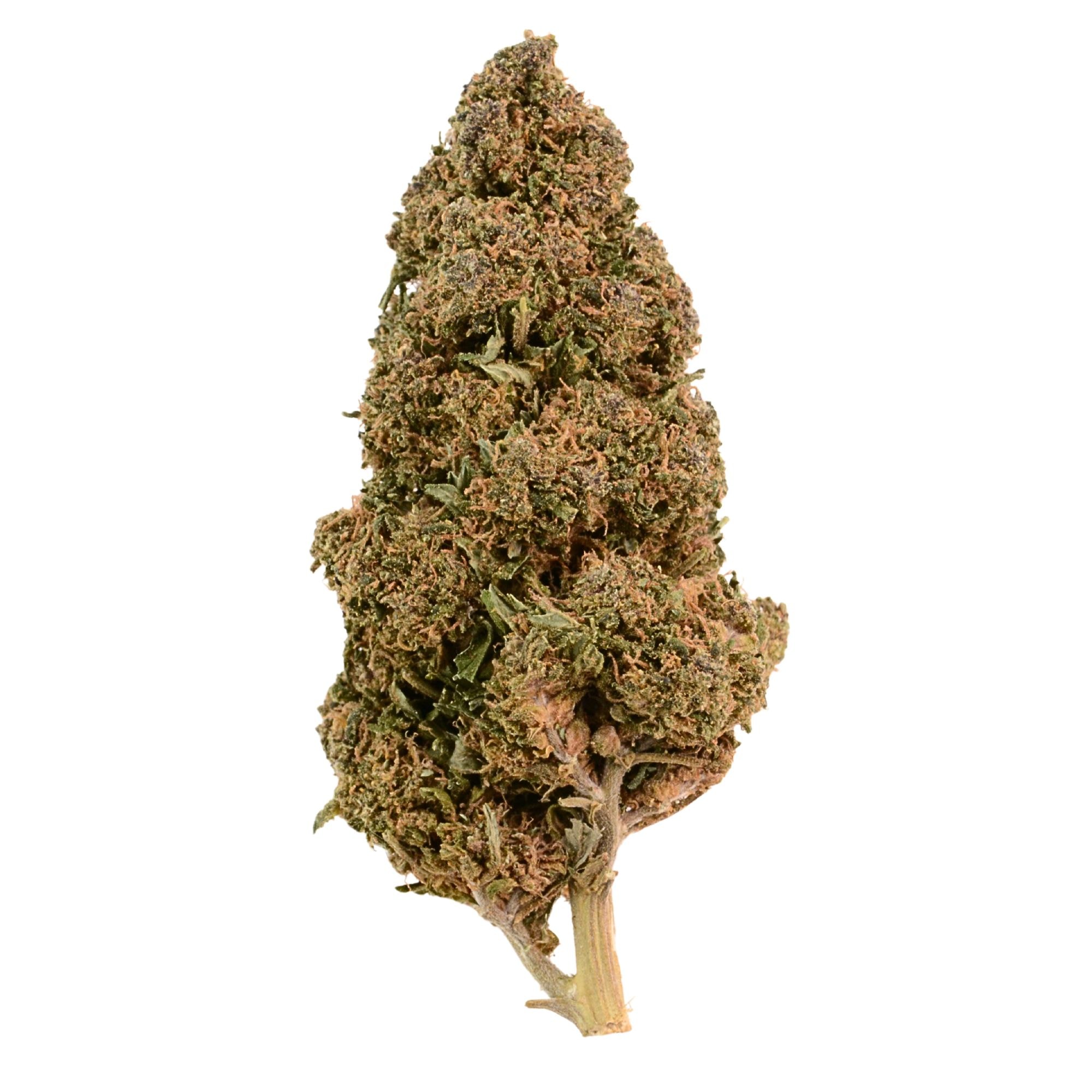 Purple Haze CBD Blüten HHC 10-OH-HHC CBG CBG9 THC Super Sauce